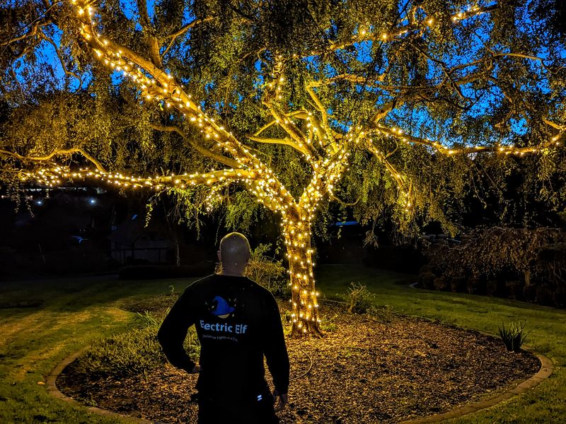 An Electric Elf crew member beside a large tree wrapped in lights
