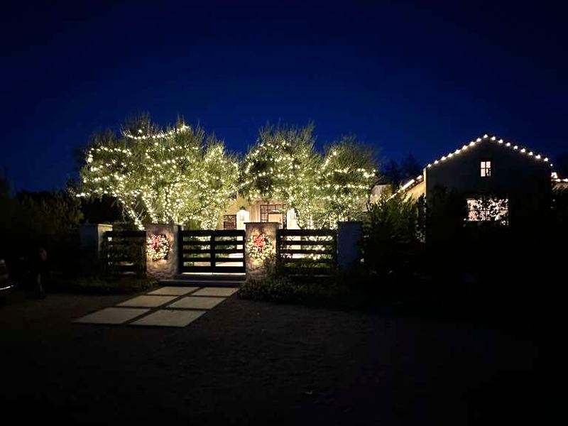 A Palo Alto home at night with a lit entry gate, two trees wrapped in lights and a lit roofline